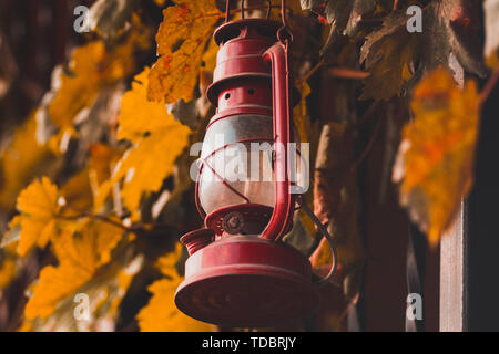 Rot Petroleumlampe auf dem Zaun mit Blättern. Stockfoto