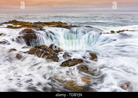Thor's Gut ist ein Teil von Cape Perpetua (eine bewaldete Landzunge, die sich in den Pazifischen Ozean erstreckt sich) einen Teil der Küste von Oregon. Stockfoto