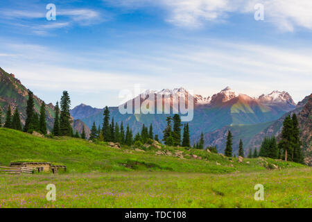 Im Sommer gibt es ein KASACHISCHEN Hirten Hütte auf der Wiese von der Shatagu Straße. Stockfoto