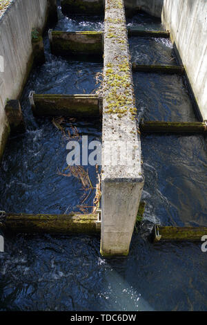 Fischtreppe - historische Woltersburger Mühle an der Wipperau, Uelzen, Niedersachsen, Deutschland Stockfoto