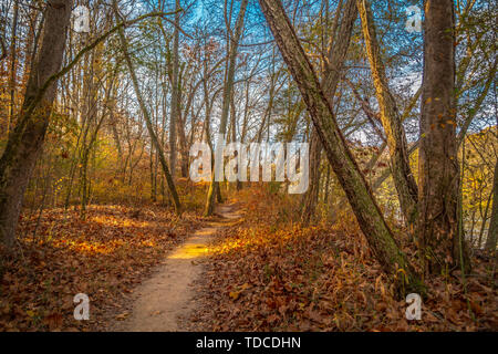 Wanderwege in den Wäldern auf einem Herbst sonniger Tag Stockfoto