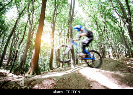 Professionelle gut ausgestattete Radfahrer reiten auf dem Waldweg mit Rutschen für das Springen. Konzept der ein extremer Sport und Enduro radfahren. Bild mit Moti Stockfoto