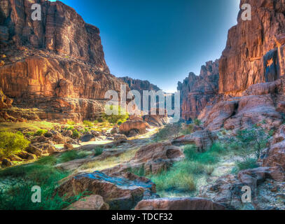Panorama im Inneren Canyon aka Guelta d'Archei, Osten Ennedi, Tschad Stockfoto