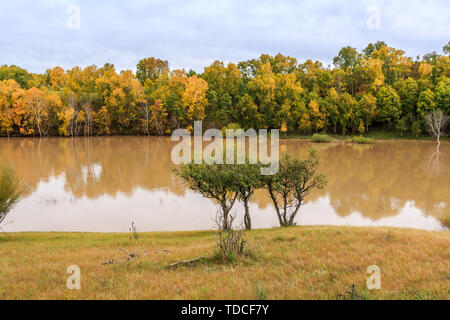 Herbst Farben auf der Banken Stockfoto