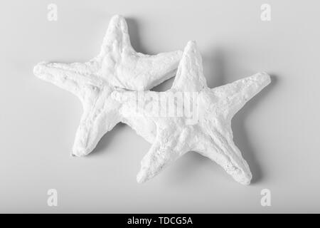 Decorational Muscheln auf weißem Hintergrund Stockfoto