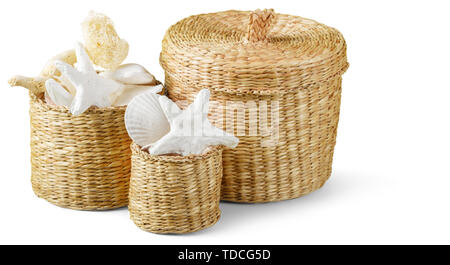 Decorational Muscheln auf weißem Hintergrund Stockfoto