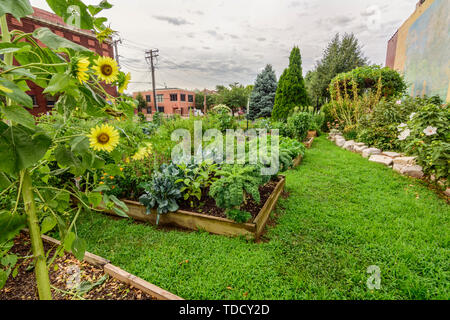 Gesund gepflegten City Garden von der Gemeinschaft verwaltet. Stockfoto