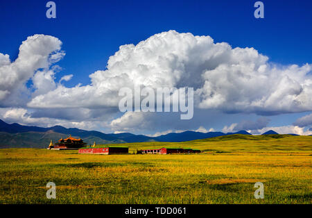 Fotografieren Bayinbrook Prairie in Xinjiang, im August 2016 Stockfoto