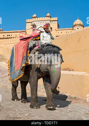 Touristische Elefant im Amber Fort, Jaipur, Rajasthan, Indien Stockfoto