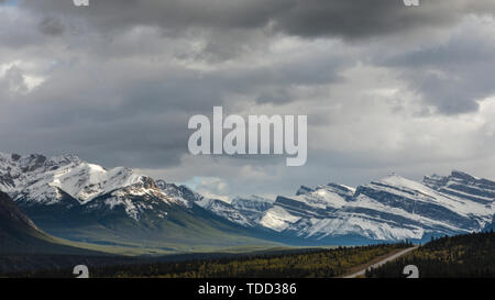 Ausblick auf die Bergkette des Kootenay Plains, Alberta, Kanada Stockfoto