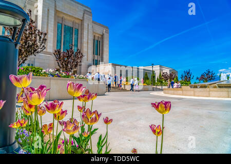 Leuchtende Blumen und üppigen Bäumen ausserhalb eines Gebäudes unter vibrant blue sky. Menschen und Brunnen können auch vor der großartigen Gebäude gesehen werden. Stockfoto