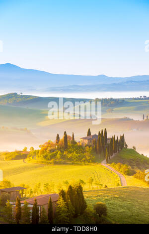 Siena, Italien - 02.Mai 2019: eine ikonische Landschaft im Val d'Orcia, Toskana, im Frühjahr bei Sonnenaufgang. Stockfoto