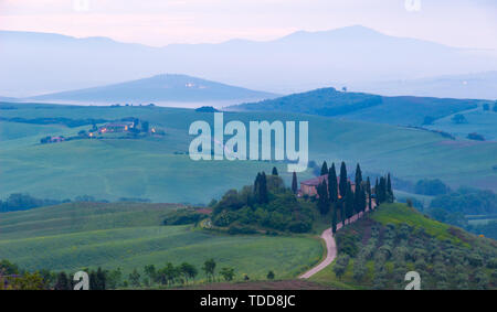 Siena, Italien - 23. Mai 2019: Eine ikonische Landschaft im Val d'Orcia, Toskana, im Frühjahr bei Sonnenaufgang. Stockfoto