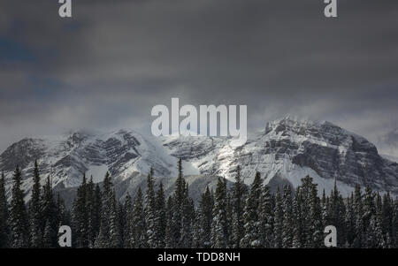 Weiches Licht auf einem Berg, Ziege, Spray Valley Lakes Provincial Park, Canore, Kananaskis, Kanada Stockfoto