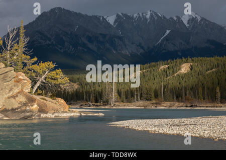 Fluss Szene, wunderschöne Licht, North Saskatchewan River, Kootenay Plains, Alberta, Kanada Stockfoto