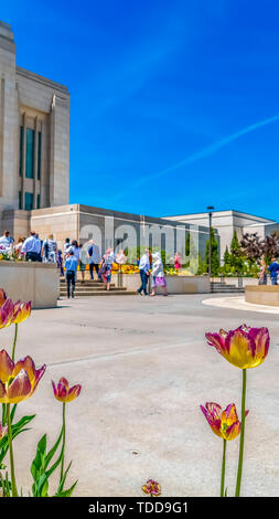 Vertikale Rahmen leuchtenden Blumen und üppigen Bäumen ausserhalb eines Gebäudes unter vibrant blue sky. Menschen und Brunnen können auch vor der großartigen gesehen werden. Stockfoto