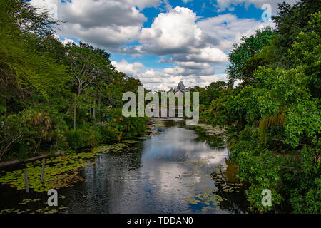 Orlando, Florida. Mai 03, 2019. Schöne Aussicht auf den Regenwald und Fluss in Animal Kingdom in Walt Disney World im Bereich (1) Stockfoto