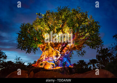 Orlando, Florida. Mai 03, 2019. Panorama Blick auf den beleuchteten Baum des Lebens auf der Blauen Nacht Hintergrund bei Animal Kingdom. Stockfoto