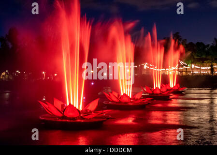 Orlando, Florida. April 29, 2019. Ströme aus Licht Wir sind eine Show im Animal Kingdom in Walt Disney World Stockfoto