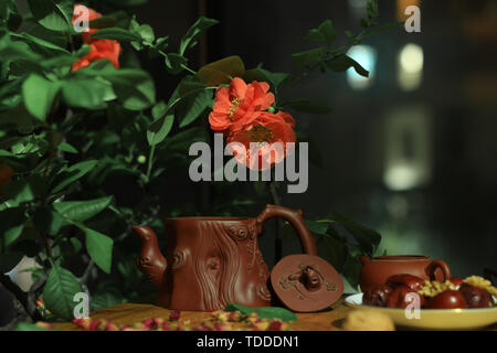 Blumen und Monate. Stockfoto