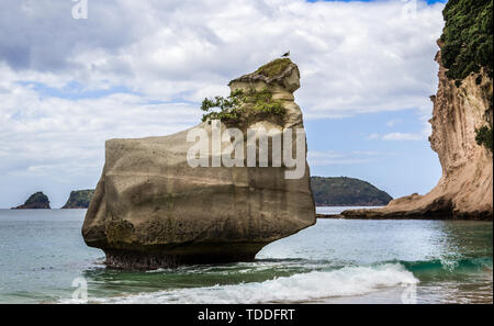 Cathedral Cove, Coromandel Halbinsel, Neuseeland am 25. Februar 2012 Stockfoto