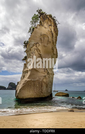 Das 'Te Hoho 'Rock aus der Cathedral Cove, Coromandel Halbinsel, Neuseeland am 25. Februar 2012 Stockfoto