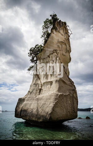 Das 'Te Hoho 'Rock aus der Cathedral Cove, Coromandel Halbinsel, Neuseeland am 25. Februar 2012 Stockfoto