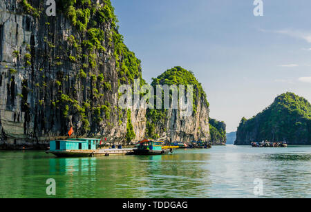 Bunte Fischerboote im smaragdgrünen Wasser der Halong Bay, Vietnam Stockfoto