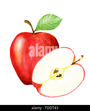 Aquarell Hand gezeichneten roten Apfel. Isolierte eco natürliche Lebensmittel Obst Abbildung auf weißem Hintergrund Stockfoto