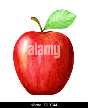 Aquarell Hand gezeichneten roten Apfel. Isolierte eco natürliche Lebensmittel Obst Abbildung auf weißem Hintergrund Stockfoto