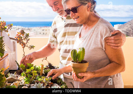 Mann und Frau alte kümmert sich um Ihre Gras Pflanzen. Paar Leben auf der Dachterrasse mit Blick auf das Meer und die Berge. Grüne Natur, die von Händen gemacht sind. Stockfoto