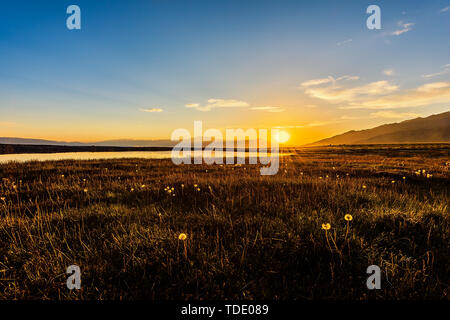 Juni Tag in Yili, Xinjiang Stockfoto
