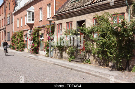 Lund, Schweden. 11. Juli 2009. Idylle in Lund, Schweden als Radfahrer Fahrten entlang der Kopfsteinpflaster. Stockfoto