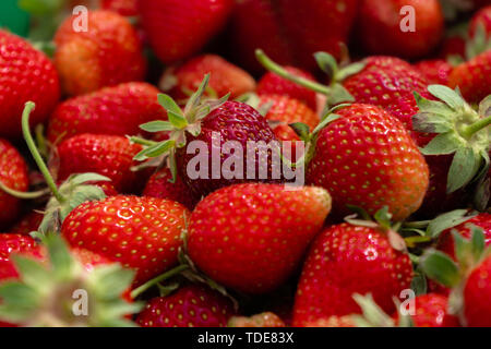 Hintergrund aus erntefrischen Erdbeeren direkt über Stockfoto