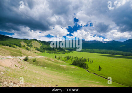 Natürliche Landschaft von Kanas Prairie im Altai, Xinjiang Stockfoto