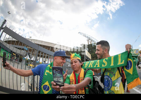 Morumbi Stadion, Sao Paulo, Brasilien. 14 Juni, 2019. Copa America international Fußball, Brasilien gegen Bolivien; Fans von Brasilien Credit: Aktion plus Sport/Alamy leben Nachrichten Stockfoto