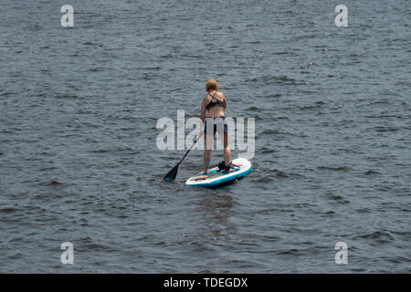 Berlin, Deutschland. 15 Juni, 2019. Ein Stand-up-Paddler ist die Fahrt auf der Spree. Credit: Paul Zinken/dpa/Alamy leben Nachrichten Stockfoto