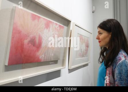 Brüssel, Belgien. 14 Juni, 2019. Ein Besucher Gemälde während der 'poetischen Jiangnan: China" Ausstellung in Brüssel, Belgien, 14. Juni 2019. Nach einem Besuch in Russland, Japan und die Vereinigten Staaten, bei der 'dynamischen Shanghai' hat die lang erwartete Rückkehr nach Belgien mit der 'poetischen Jiangnan: Stil von China' Ausstellung hier auf der China Kulturzentrum gemacht. Mit 'Dynamische Shanghai" kehrt nach Belgien mit Ausstellung von Jiangnan Kultur Credit: Pan Geping/Xinhua/Alamy leben Nachrichten Stockfoto