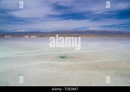 Tee qinghai See Stockfoto