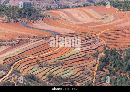 Plateau Terrassen in Yunnan Stockfoto