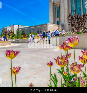 Quadratischen Rahmen leuchtenden Blumen und üppigen Bäumen ausserhalb eines Gebäudes unter vibrant blue sky. Menschen und Brunnen können auch vor der großartigen Bu gesehen werden. Stockfoto