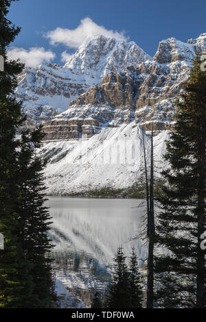 Berg mit Schnee, Crowfoot Mountain, Bow Lake, Icefields Parkway, Alberta, Kanada Stockfoto