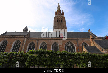 Die hohen Fenster und der Glockenturm der Kirche der Muttergottes, Brügge, Belgien Stockfoto