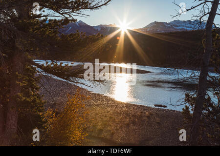 Hintergrundbeleuchtung Szene, North Saskatchewan River, Kootenay Plains, Alberta, Kanada Stockfoto