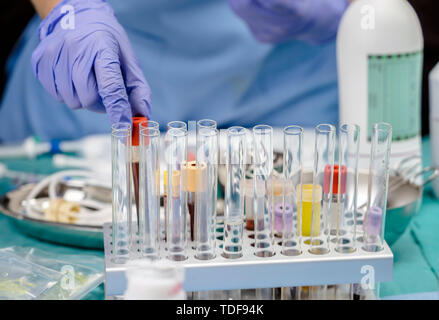 Krankenschwester Blutproben, die in einem Krankenhaus, Konzept Bild Stockfoto