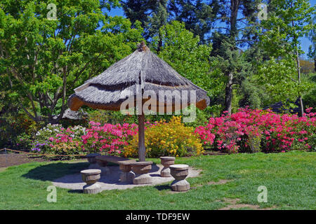 Sitzbereich mit hölzernen Stühlen und Sonnenschirm im Blumengarten Garten Stockfoto