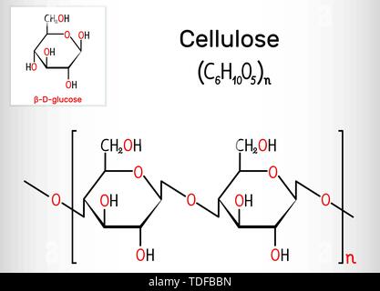 Cellulose Polysaccharid Molekül. Strukturelle chemische Formel. Vector Illustration Stock Vektor