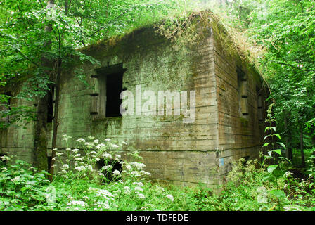 Reichssicherheitsdienst RSD (Reich Security Service) post-Befehl in der Wolfsschanze (Wolf's Lair) in Gierloz, Polen. Am 4.Juli 2008, war eine der Führerha Stockfoto