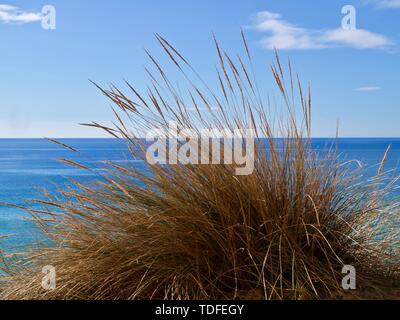 Schönes Paradies Strand am Ozean rund um Albufeira an der Algarve in Portugal Stockfoto