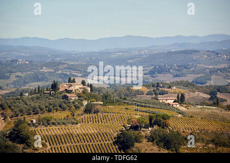 Toskana, Italien, Europa - wunderschöner Panoramablick banner Landschaft mit Weinbergen und Häuser Stockfoto